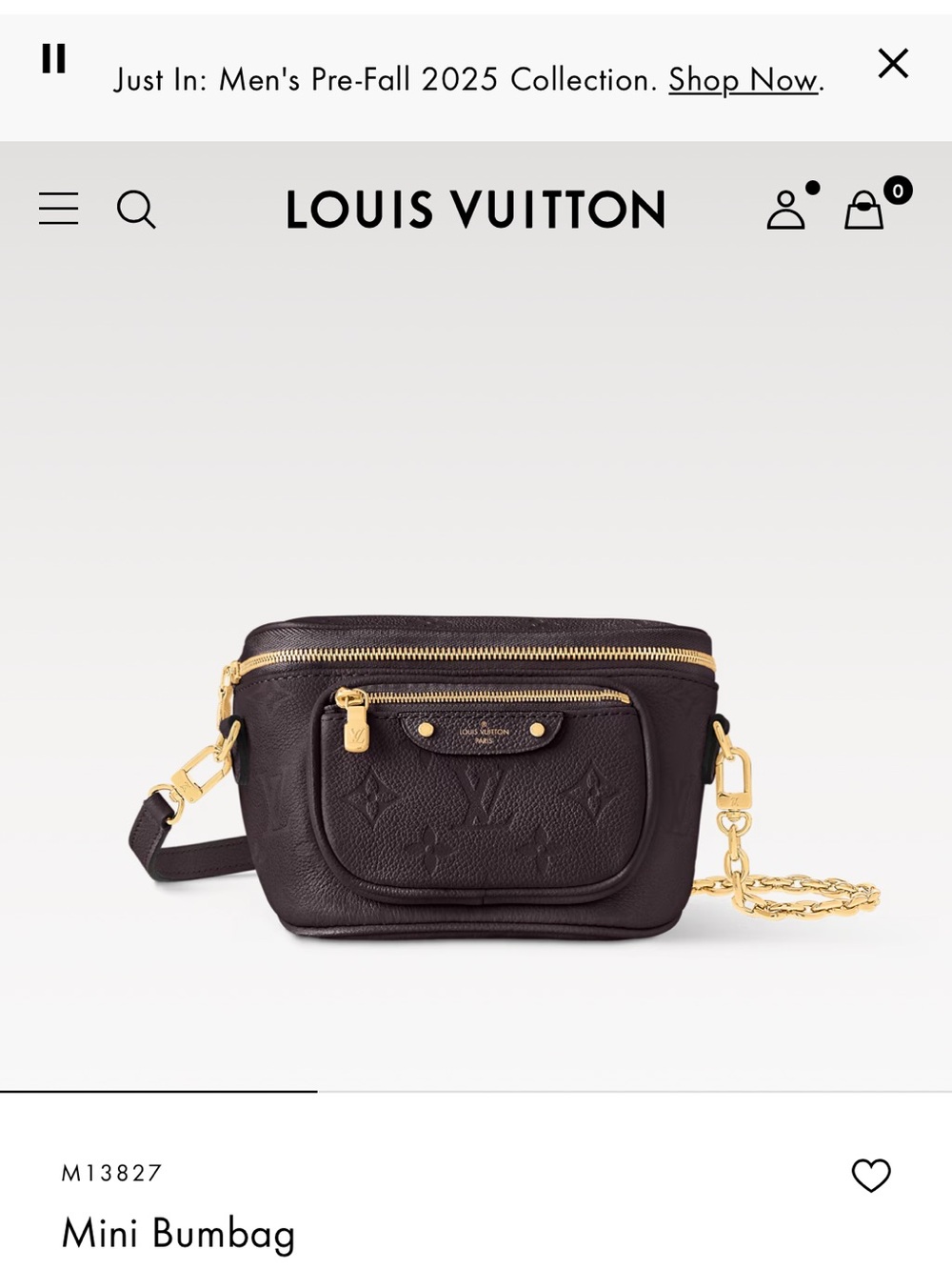 Louis Vuitton Mini Bumbag in Dark Brown with Gold Hardware